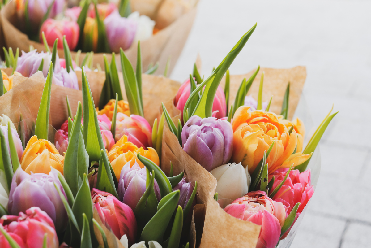 Des fleurs pour chaque relation importante(1)